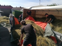 Vogelwiese Eisbaeren 2023